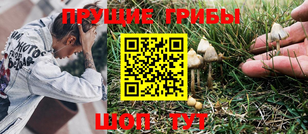 Нерюнгри  как найти   Вход с VPN  Псилоцибиновые грибы мухоморы 
